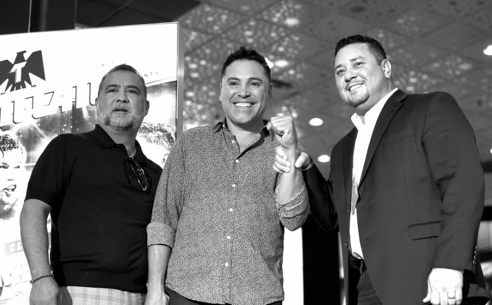 被削弱, 霍亚相信顶, 过去两年 被削弱, 霍亚相信顶, 过去两年